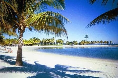 Matheson Hammock Park Miami All You Need To Know Before You Go