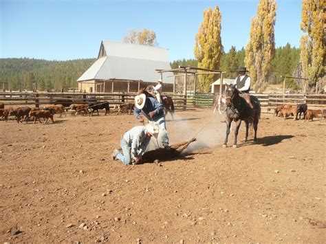 Cabins gallery click on image to enlarge then. 6145 County Road 94 Lookout CA Northern California Cattle ...