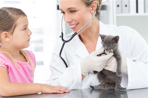Every day we strive to provide you with the very best veterinary care possible. Animal Hospital | Veterinary | Animal Clinic