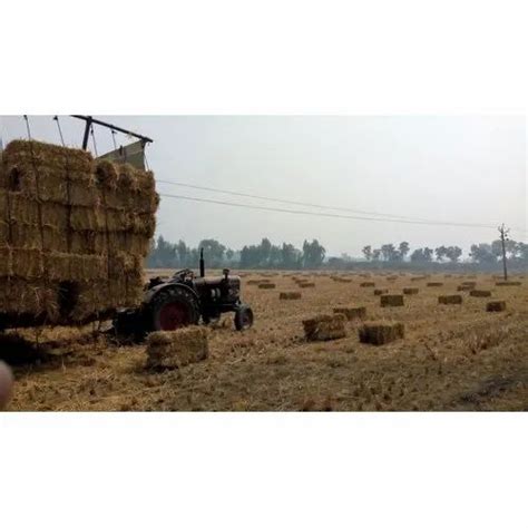 Paddy Straw Packaging Type Bales At Rs 1500ton In Chennai Id
