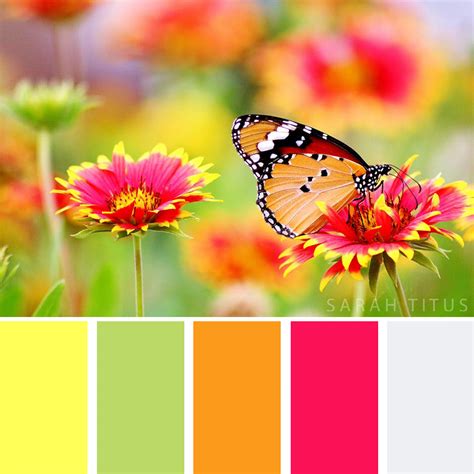 24 Best Flower Inspired Color Palettes Sarah Titus