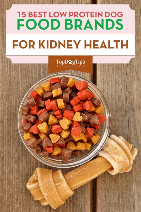 This binds the phosphorus from food in the gut rather than allowing it to be filtered by the kidney, which will often allow us to feed a protein replete diet that. The Best Low Protein Dog Food for Kidney and Liver Health ...
