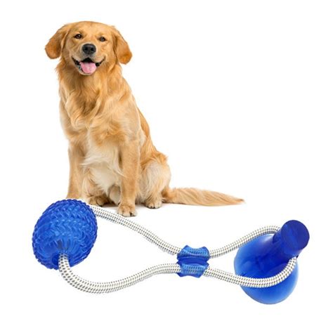 Suction Cup Dog Toy Self Playing Tug Of War Dog Toy With Chew Rubber