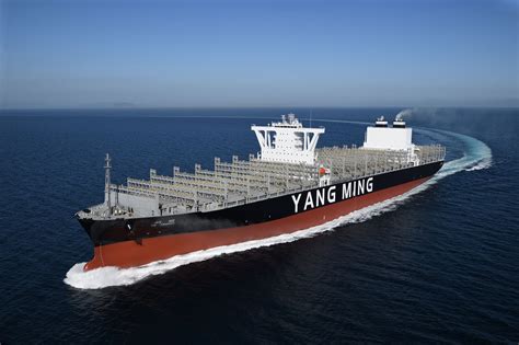 Yang Ming Adds 11000 Teu Ship Ym Tutorial To Transpacific Service