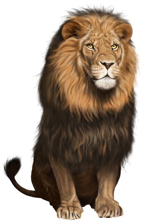 Lion Png Transparent Image Download Size 859x1306px