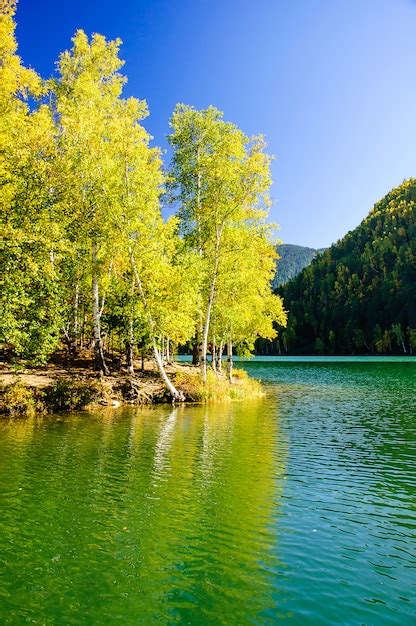 Premium Photo Mountain Autumn Green Siberia Lake With Reflection And