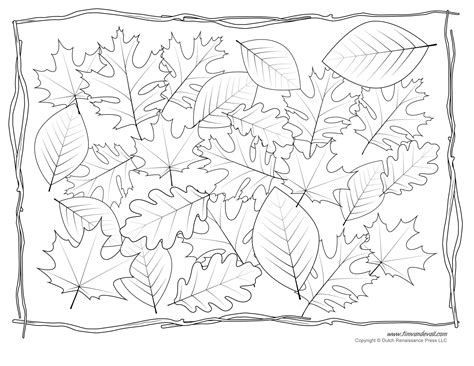 Coloring Leaf Printables