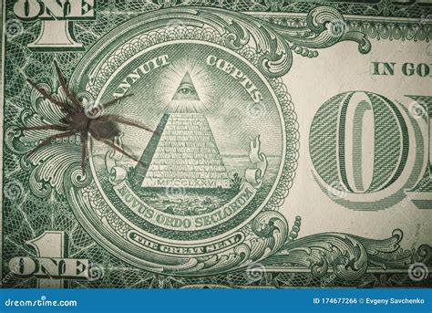 A Spider Crawls On A One Dollar Bill Stock Photo Image Of Banking