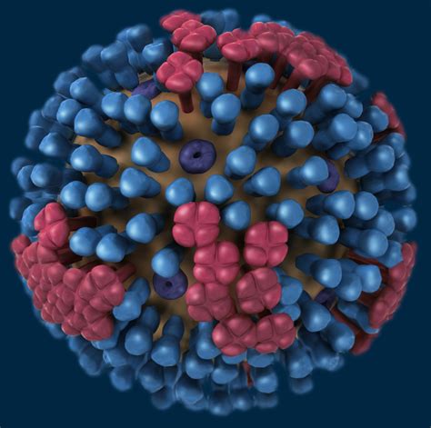 Jun 18, 2021 · foto. Images of Influenza Viruses | CDC