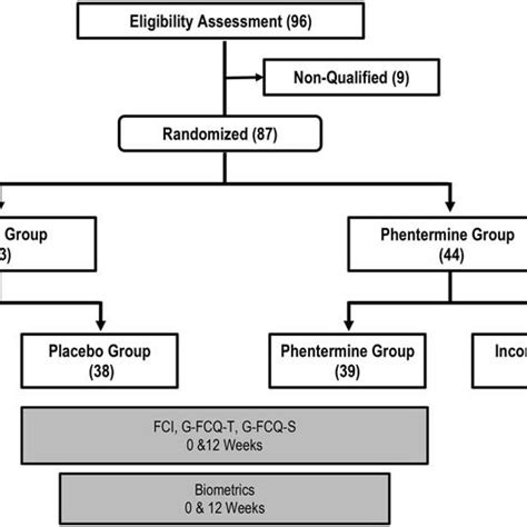 Randomized Double Blind Placebo Controlled Clinical Trial Flow The Download Scientific
