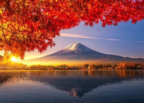 Japans Autumn Leaves 2019 Fall Foliage Calendar Live