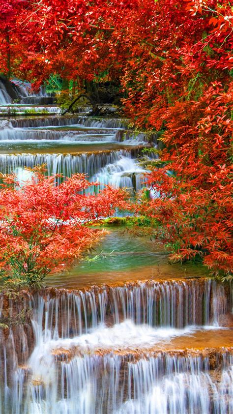 Waterfall Stream Between Red Autumn Leafed Trees In Jungle 4k Hd Nature