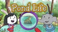 Digital Game | Pond Life | PBS LearningMedia