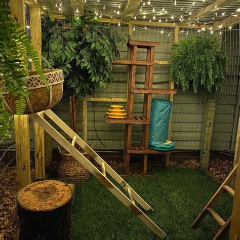 Couple Builds Dreamy Catio Oasis For Their Indoor Cats