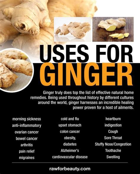 Uses For Ginger Ginger Benefits Food Facts Food