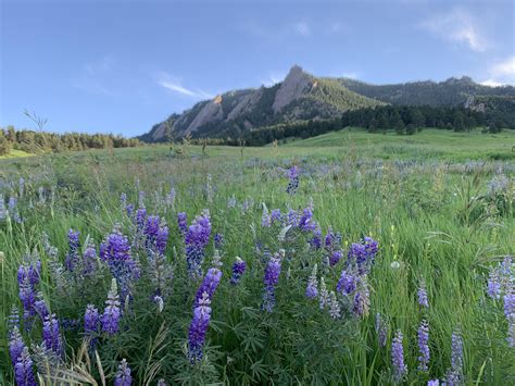 Chautauqua Park Boulder Co Routdoors