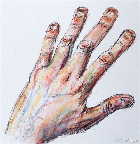 You Need Hands Tim Baker Watercolour Paintings Drawings