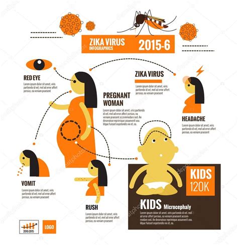 Zika Virus And Dengue Virus Infographics — Stock Vector © Mangsaab