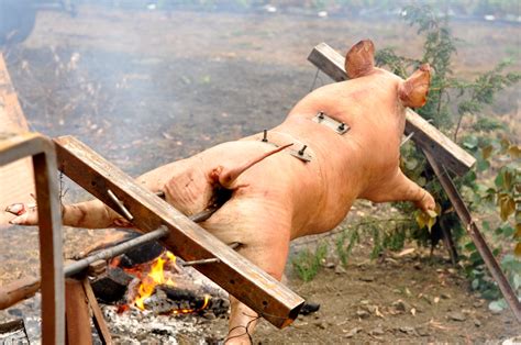 How To Roast A Whole Hog On A Spit Amy Glazes Pommes Damour
