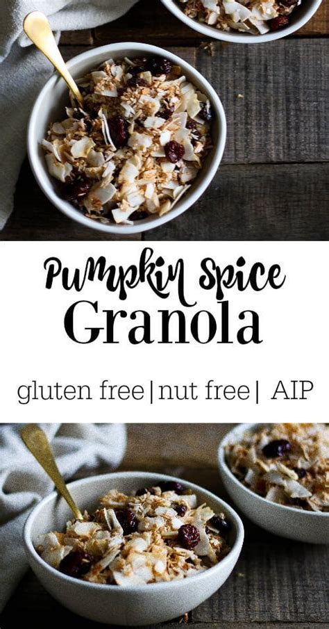 Pumpkin Spice Granola Gluten Free Nut Free Aip Savory Lotus