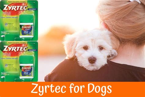 Zyrtec For Dogs Nature Museum Pets Care