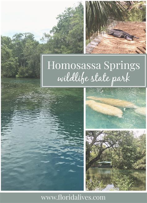 Homosassa Springs Wildlife State Park Florida Lives State Parks