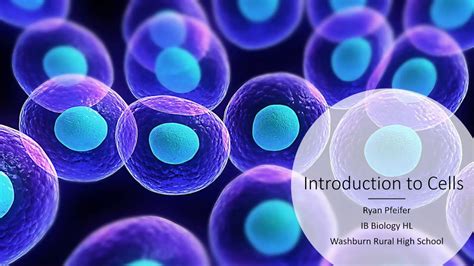 Introduction To Cells Cell Theory Youtube