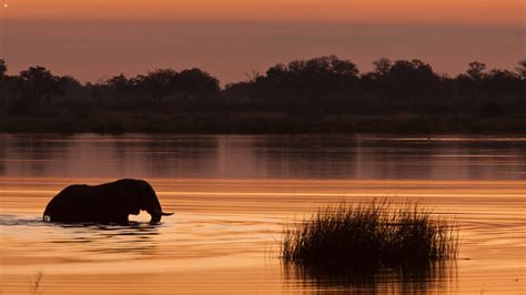 When Is The Best Time To Visit Botswana Jacada Travel
