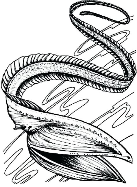 Electric Eel Coloring Coloring Pages