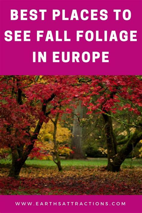Discover 20 Amazing Places To See Fall Foliage In Europe These Are