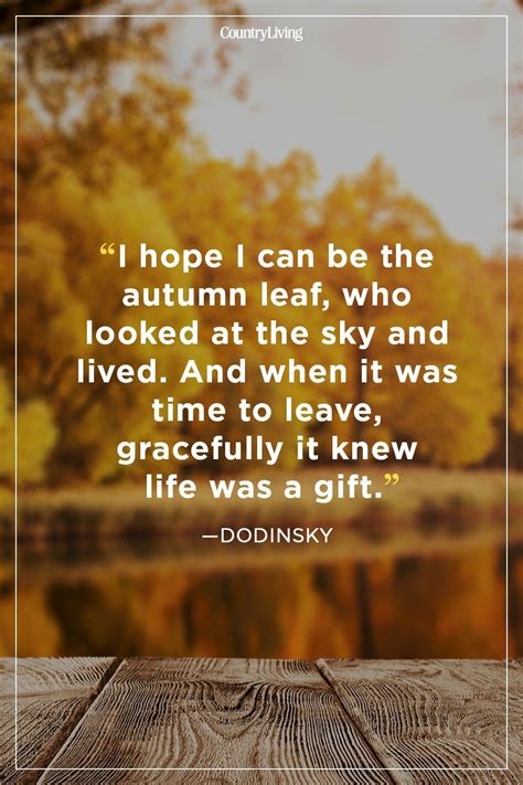 55 Fall Quotes To Remind You Just How Beautiful This Season Is Fall