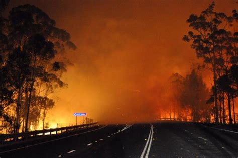 Austraiian Wildfires Trees Burn And Smoke Billows From A Fire Along