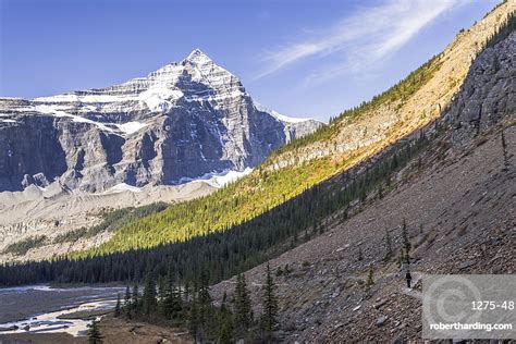 Hiking In The Mount Robson Stock Photo