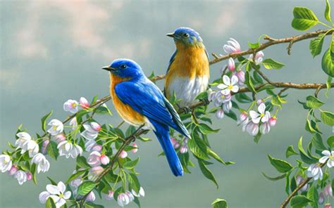 Flowers For Flower Lovers Flowers And Birds Beautiful