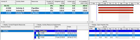 resource curves and activity settings in primavera p6