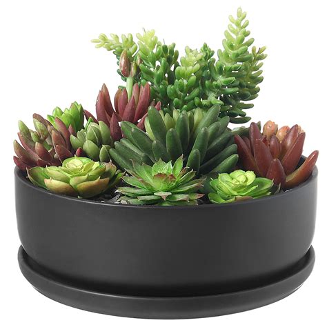 8 Inch Modern Round Black Ceramic Cactus Succulent Planter Bowl With