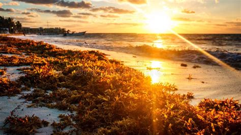 Cancun Beach Sunrise Stock Image Image Of Rnphoto Beach 64457407