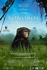 Bonobos: Back to the Wild - Película - 2015 - Crítica | Reparto ...
