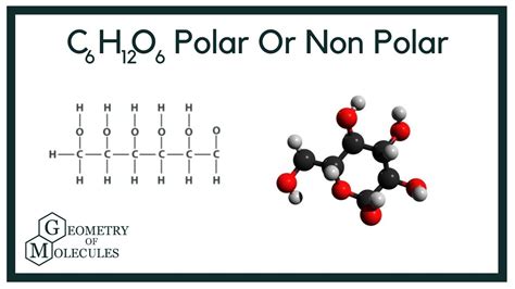 Is Glucose Polar Or Nonpolar C6h12o6 Youtube