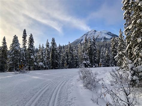 Xc Skiing Moraine Lake Road In Banff National Park Perfect For