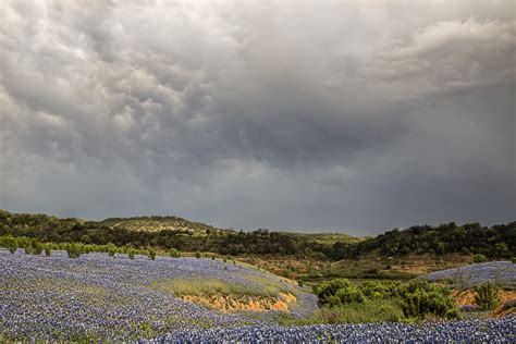 The Ten Best Spots In Texas To See Bluebonnets In Jason Weingart Photography