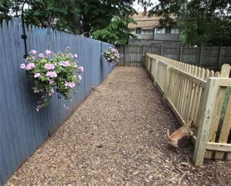 25 Best Cheap Backyard Fencing Ideas For Dogs 11 Dog Friendly