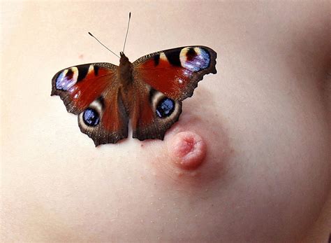 Girl With Butterflies On Face Photos Porn Photo