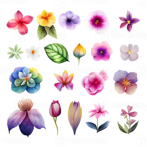 Free Set Of Beautiful Flowers Watercolor Painting Png File 17293160