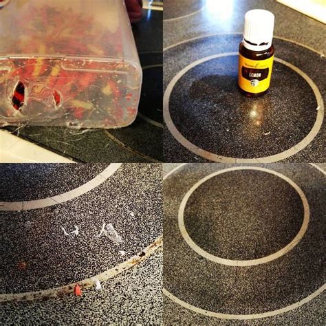 You will want to take care not to scratch your iron. Lemon Oil to the Rescue | Ceramic stove top, Melted ...