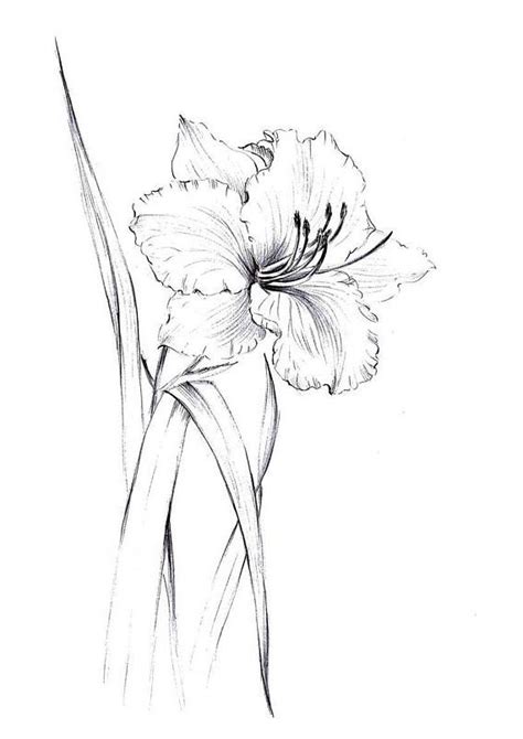 Comment commencer à dessiner une fleur ? 15 Unique De Fleur De Lys Dessin Photographie | Fleur de ...