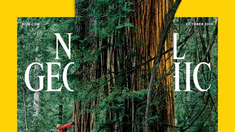 National Geographic The Covers Iconic Photographs Unforgettable Stories