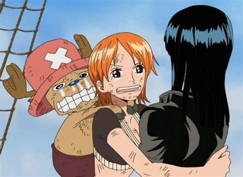 Chopper Nami And Robin Anime Personagens De Anime One Piece Anime