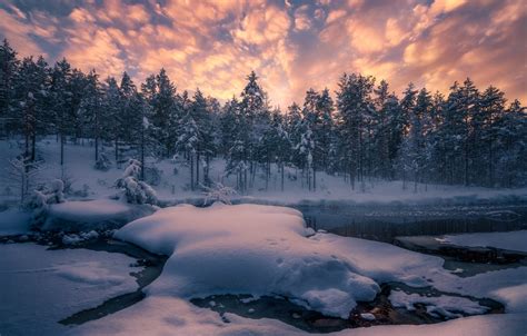 Wallpaper Winter Forest Snow Trees River Norway The Snow Norway