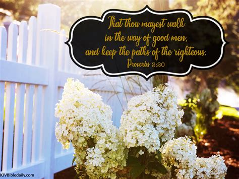 Proverbs 2:20 KJV – KJV Bible Verses